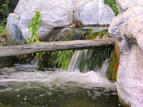 waterfall monterey montereybayaquarium joelach