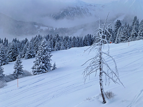 trees winter snow geotagged day skiing pwwinter geo:lat=4705418612 geo:lon=1059209443