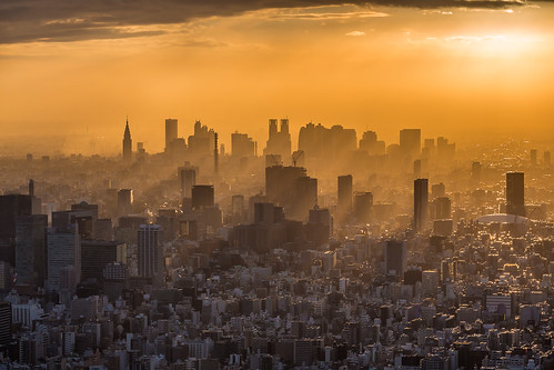 sunset sunlight color yellow japan fog skyline skyscraper canon tokyo haze shinjuku day sonnenuntergang 東京 dust 新宿 2013 simplysuperb canon5dmarkiii ef7020028lisiiusm