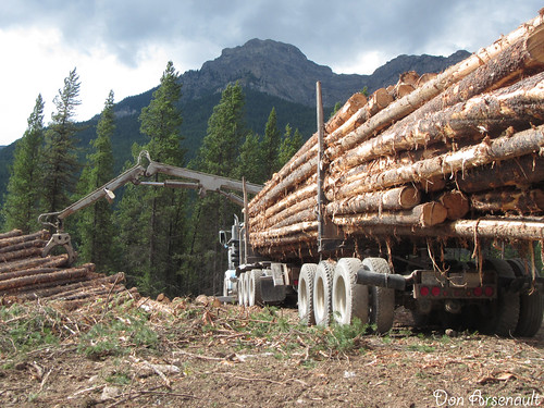 trees mountains truck work bc britishcolumbia logging lumber donarsenault canonpowershotd20