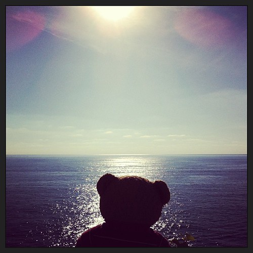 sea summer holiday sunshine square mediterranean teddy hector squareformat teddybear mallorca amaro iphoneography instagramapp uploaded:by=instagram foursquare:venue=4c3c68687d00d13accd13850 mediterraneansunshine