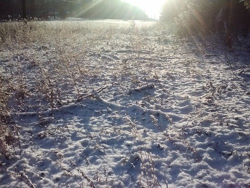 winter snow sunrise louisacounty louisavirginia flickrandroidapp:filter=none
