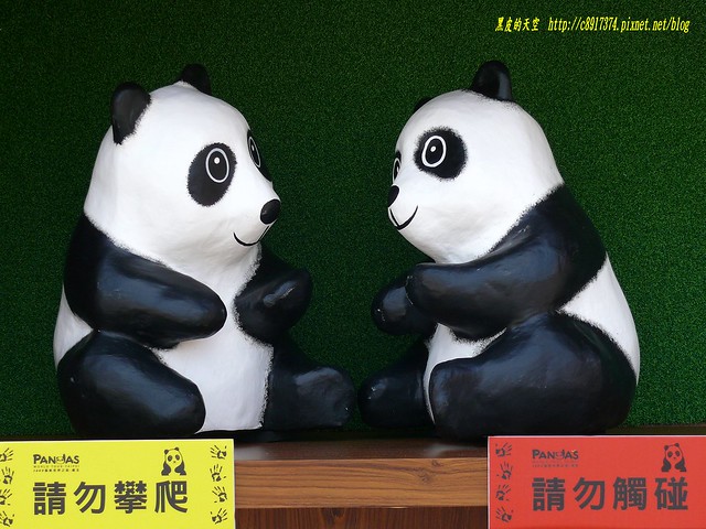 2014 0323紙貓熊世界之旅首站在台北022