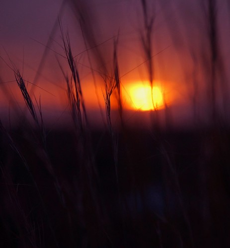 sunset color oklahoma grass landscape bright sony