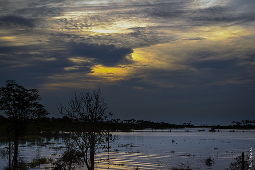 sunset brazil nature august manaus ef2470mmf28lusm amazonas 2013 iranduba canon7d raphaelcoke