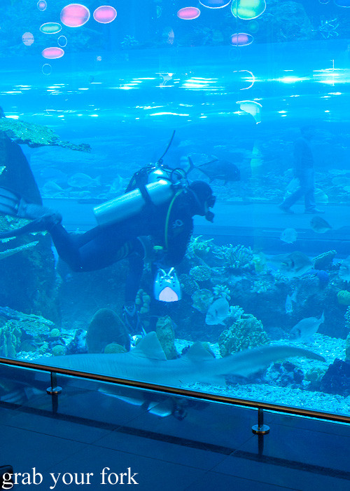 Scuba diver in Dubai Aquarium inside Dubai Mall, Dubai