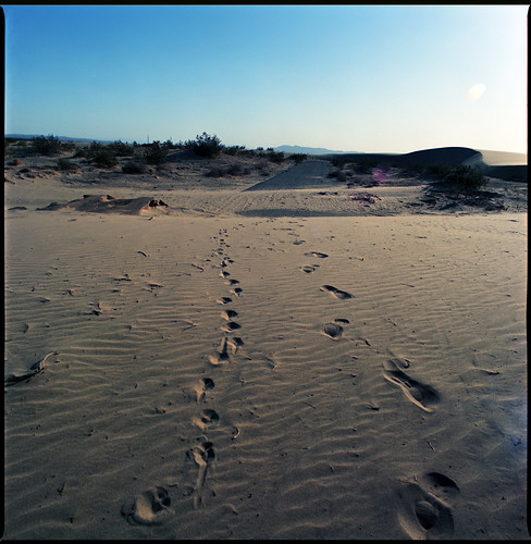 california road greyhound dead kino desert kodak dunes footprints bronica 40mm saltonsea ektar selfdeveloped endoftheroad unicolor s2a