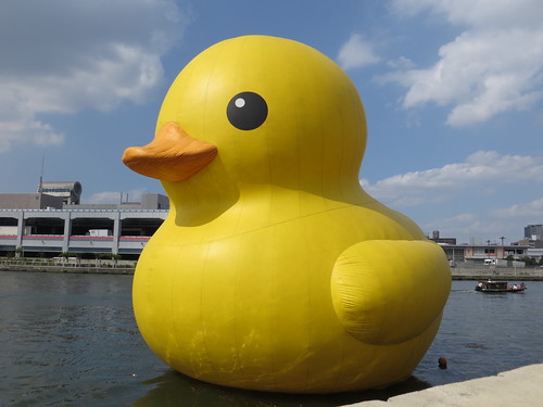 Rubber Duck in Osaka, autumn 2013 / ラバー・ダックプロジェクト2013 in 大阪・川口町