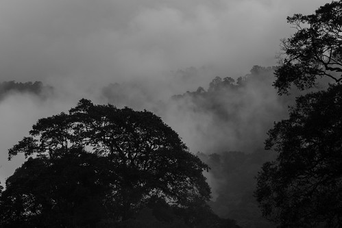 mountain fog clouds forest canon highlands rainforest cloudy foggy tram hills adobe malaysia cablecar kualalumpur selangor lightroom 6d gentinghighlands batangkali canon6d lightroom5