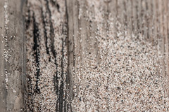 Sand on Wood, Park Point