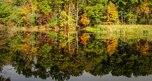 autumn reflection fall landscape pond colorful massachusetts