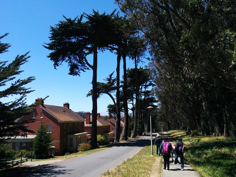 from last sunday in the northside: walk, draw, walk — in the presidio.