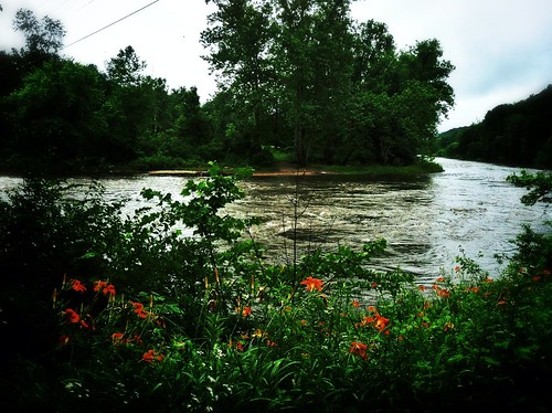 river riverview appalachiantrail daylilies kentct housatonicriver riverrd iphoneography