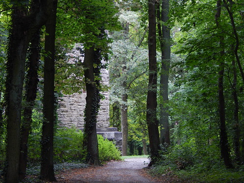 würzburg mainfranken bismarckturm wald outdoor baum tree pflanze grün green forest turm