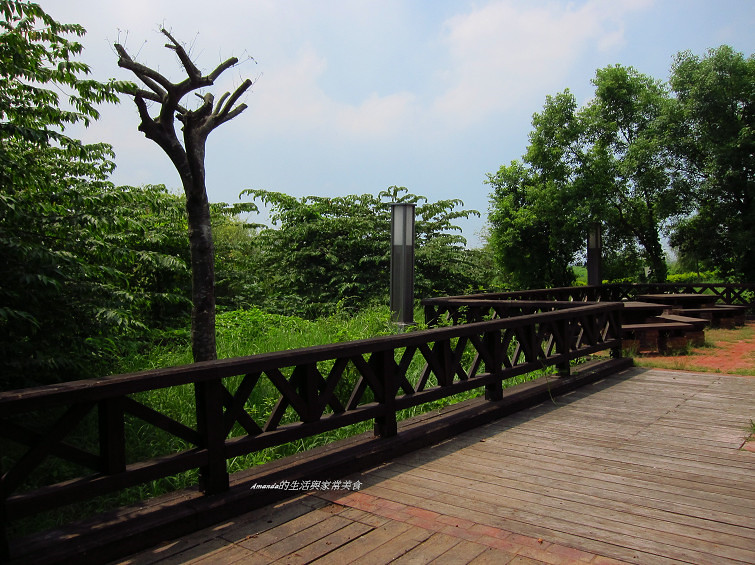 大樹舊鐵橋生態公園 (30)