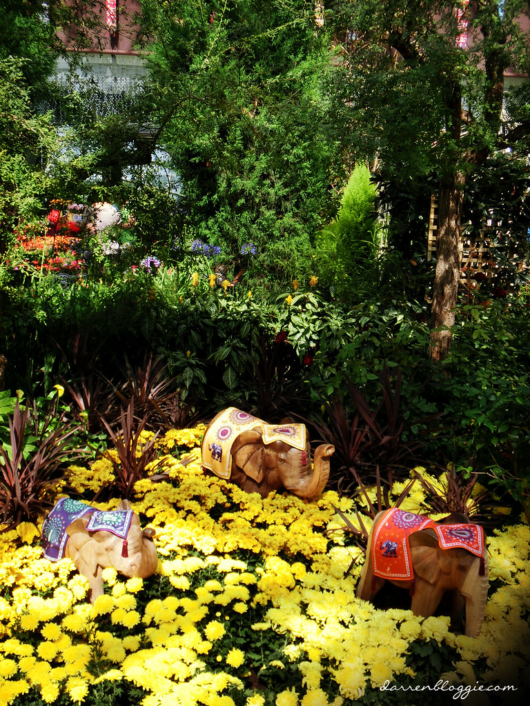 Deepavali Flower Field Display at Gardens by the bay darrenbloggie