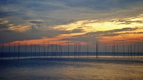 sunset sea seaweed japan seaside farm 海岸 ariake 有明海 のり 日没