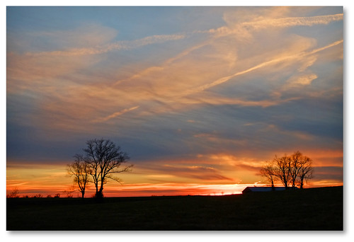 sunset sky tree silhouette clouds glow bluegrass pastel coucherdusoleil centralky