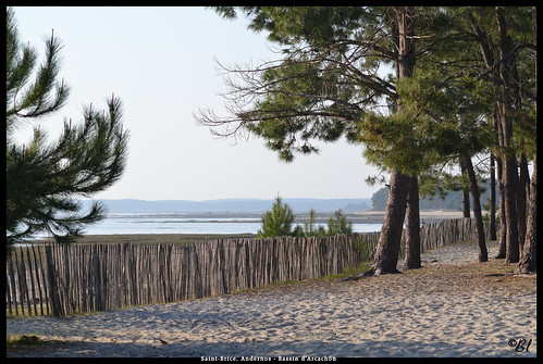 france sable arbre plage balustrade bassindarcachon sudouest barrière gironde andernos francesudouest 20140320