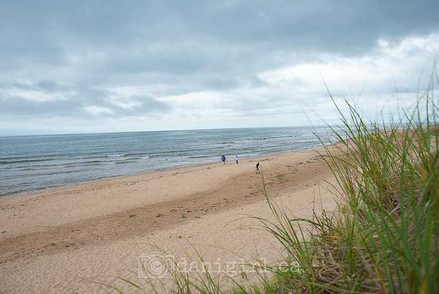 PEI National Park at Greenwich