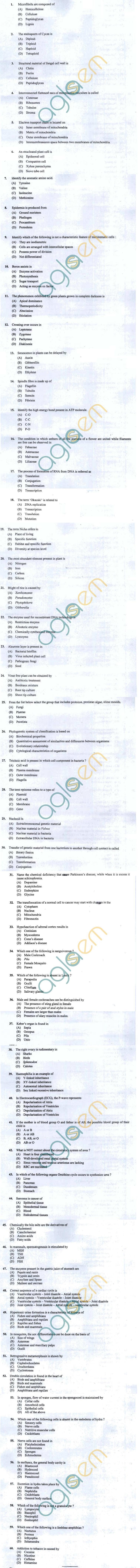 OJEE 2013 Question Paper for BIOLOGY