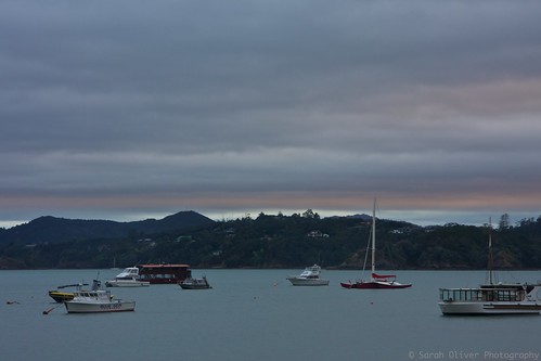 new newzealand sunrise boats islands north zealand wharf nz northisland yachts northland paihia