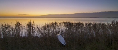 holland water netherlands sunrise landscape nikon surf surfboard riet landschap leftbehind achtergelaten zonsopkomst wolderwijd surfplank jenco wsweekly60