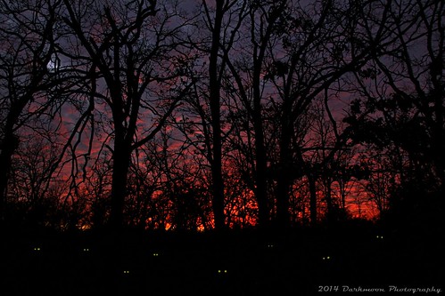 sunset oklahoma woods colorful country gimp eerie creepy spooky horror beast darkmoon chupacabra havingfun bloodchilling