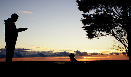 chris england sky tree silhouette sunrise golden coast sony east poppy alpha a77 saltfleet