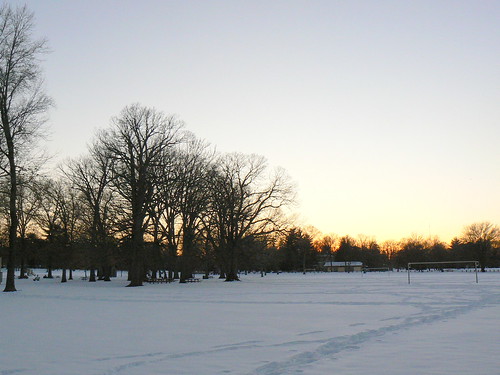 snow park trees collinswoodnewjersey sunset