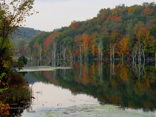 autumn trees lake mountains tree fall water canon river pond fallcolors powershot foliage refections monksville monksvillereservoir sx150is smack53