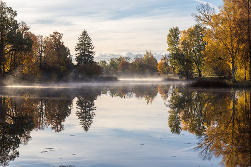 autumn reflection fog pond latvia rudens migla zemīte