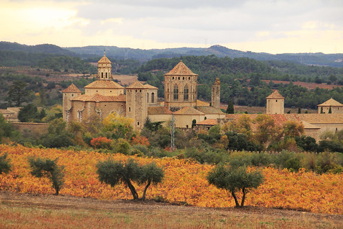 otoño monasterio cataluña viñas monasteriodepobletlesplugadefrancolítarragona jesúsgarcíagauses