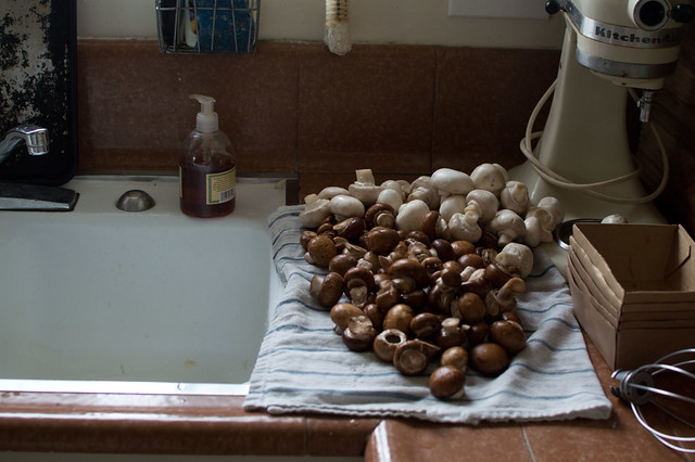 mushrooms, pile of