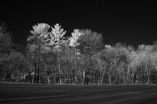 trees winter snow ir pentax hiver arbres québec infrared neige infrarouge 950nm k20d