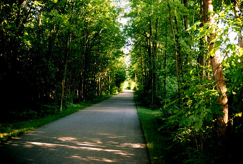 trees summer sun trail shade railtrail