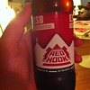 Beer 5: Red Hook ESB