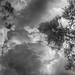 Billowing | Black and White Sky Photography