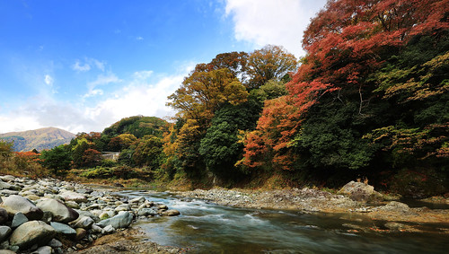 wood autumn sky cloud mountain green water yellow stone canon river eos 5d tanzawa redleaves mark3
