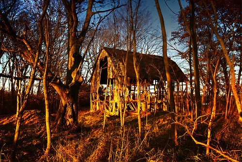 abandoned barn skeleton sticks woods michigan decrepit wellston lovelybones mikekline michaelkline notkalvin notkalvinphotography
