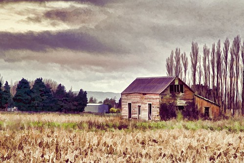 old newzealand house building abandoned home farmhouse rural decay farm cottage wellington derelict dilapidated wairarapa greytown deterioration whare oldandbeautiful oncewashome