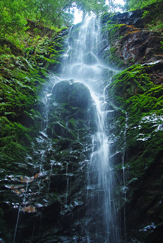 blue trees cliff plants green water leaves waterfall moss rocks stones falls ravine ferns berrycreekfalls