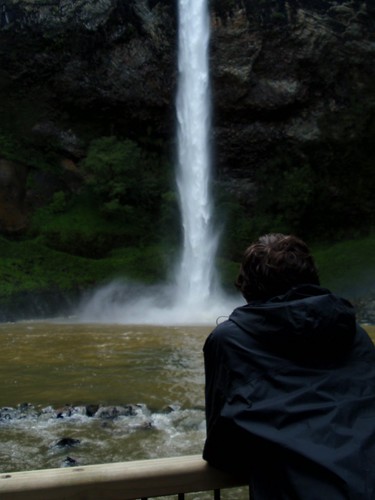 newzealand landscape waterfall roadtrip northisland