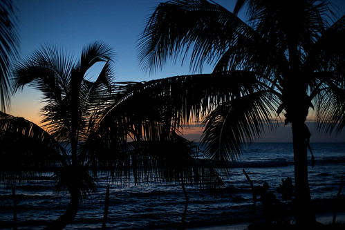 sunset jamaica coconuttree treasurebeach afnikkor50mmf14d