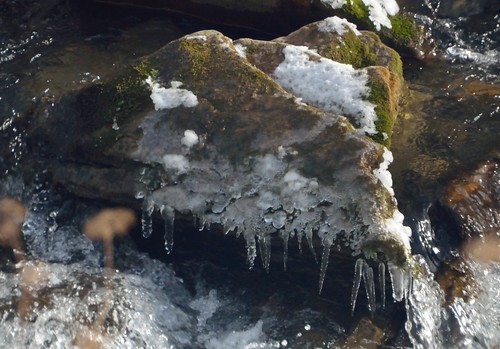 ice water virginia moss nikon va icicles botetourtcounty yabbadabbadoo roaringrun nikontamron d5100 nikond5100