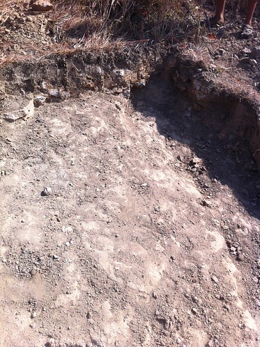 rock soil panama caimitial