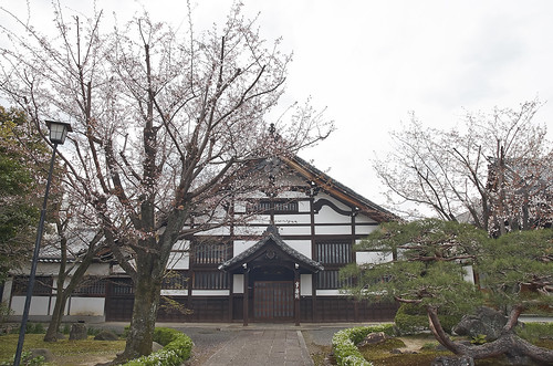 【写真】2014 桜 : 妙覚寺/2021-01-05/IMGP5672