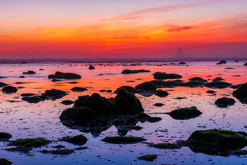 ocean longexposure travel pink blue sunset red sky orange plants seaweed beach nature water colors beauty weather yellow clouds landscape washington rocks solitude purple unitedstates july olympicpeninsula noflash pacificocean northamerica portfolio solitary locations facebook seastack locale 70mm 2015 softwater manualmode clallambay 2470mmf28 500px nikond810 afsnikkor2470mmf28g objectsthings hasmetastyletag hascameratype naturallocale adjectivesfeelingdescription haslenstype seafieldcreek selfrating5stars subjectdistanceunknown 25secatf11 clallambaywashingtonunitedstates iso31 2015travel july42015 northolympiccoast northolympicscoastbackpacking0701201507062015 48°1235n124°4135w