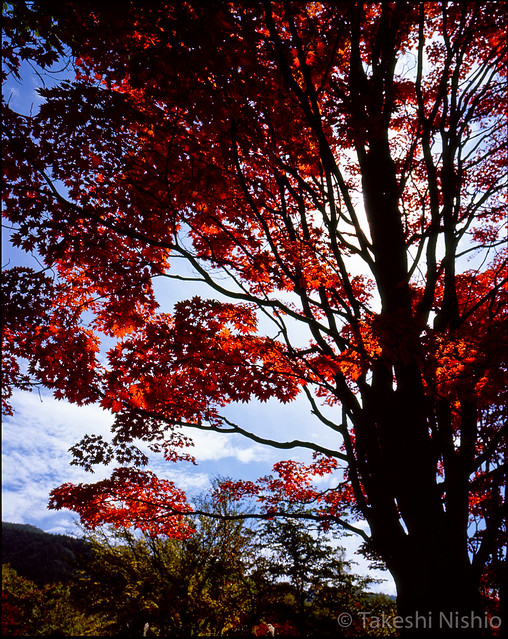 Autumn, Norikura