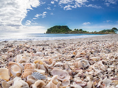 Maunganui Beach - Bay of Plenty